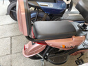 飞鸽新国标电动自行车铅酸锂电成人男女轻便踏板长续航老人两轮电瓶车 香槟金【全国联保/智能快充/防爆抗寒】 【石墨烯】12A载能-助力续航70公里 实拍图