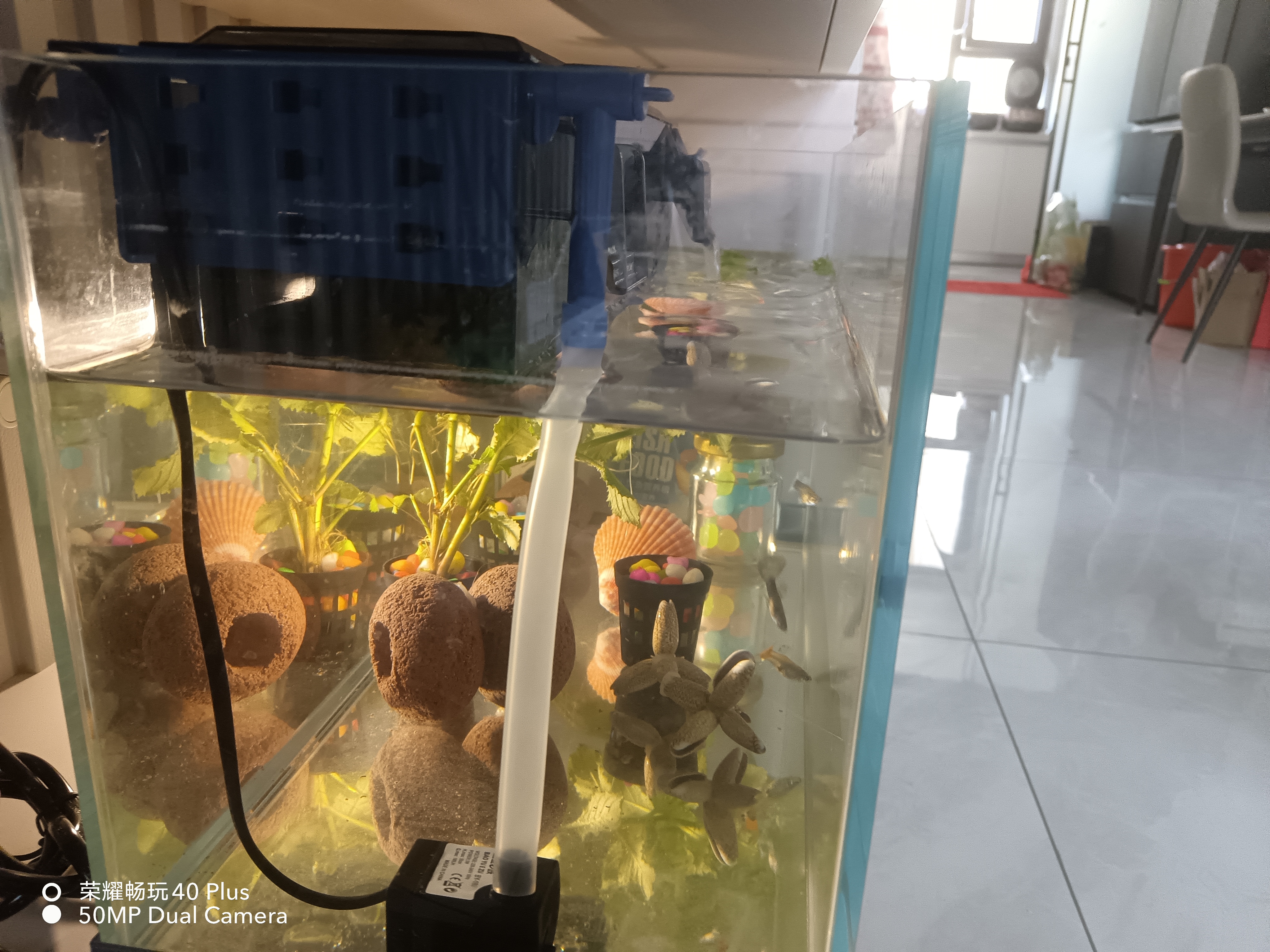 渔乐极限鱼缸过滤器制氧一体机三合一净水循环水泵龟缸壁挂上置滴流过滤盒 【4格+全套标准滤材+水泵】/适合35-55cm缸 实拍图
