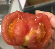 金百粟【顺丰】陕西泾阳普罗旺斯西红柿生吃沙瓤西红柿番茄蔬菜时令生鲜 普罗旺斯 4.5斤 中果--中通快递 实拍图