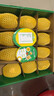 佳沛（zespri）新西兰 阳光金奇异果12粒礼盒特大果单果约122-146g 猕猴桃 水果 实拍图