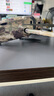 大疆 DJI Mavic 4 Pro 御4Pro 三摄旗舰影像航拍机 1亿像素万象云台 哈苏相机高清专业航拍 大疆无人机 标准单电套装（DJI RC 2） 官方标配 无内存卡 晒单实拍图