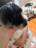 多美洁（Tropiclean）美国原装进口犬精油喷雾473ml宠物狗狗体外喷剂 实拍图
