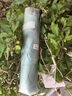 MAMORU防紫外线遮阳伞 三折彩胶防晒太阳伞 超轻碳纤铅笔伞135g浅绿色 实拍图