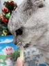 MamyPets猫草磨牙棒猫草棒猫零食鸡肉冻干猫咪排化毛猫条猫薄荷饼干猫草片 实拍图
