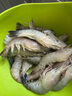 百鲜洽罗氏虾沼虾鲜活冷冻新鲜大头虾超大虾巨型淡水河虾海鲜水产虾类 16-20只/斤-中号 500g(净重)  *2盒 实拍图