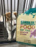 麦富迪狗粮 乖宝乐10kg 成犬中大型小型犬通用（牛肉蛋黄）金毛泰迪柯基 实拍图