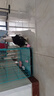 加仕高狗狗玩具耐咬磨牙棒球胶小型犬幼犬小狗泰迪宠物用品马克龙5件套 实拍图