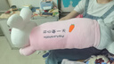 熊猫熊小兔子玩偶布娃娃毛绒玩具女生陪睡觉抱枕长条公仔女孩生日礼物女 实拍图