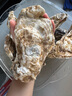 鲜海道【活鲜】鲜海道生蚝  乳山牡蛎 新鲜海蛎子生鲜贝类 送人优选6XL号净重9斤 实拍图
