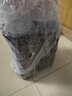 宝莹（Persil）进口洗衣液9大酵素8.8斤家庭装99%除菌除螨抑菌强效去污护色 实拍图