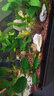 一途比亚迪秦PLUS/秦PRO专用无骨雨刮器秦PLUS雨刷比亚迪秦PRO雨刮原厂原车尺寸汽车雨刷器（1对装）A级胶条 实拍图