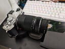 奥之心（OM SYSTEM）75-300mm F4.8-6.7 超远摄变焦镜头 奥林巴斯微单镜头 等效150-600mm 实拍图
