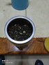 一杯香茶叶茉莉花茶横县特级500g2025新茶礼盒装茉莉绿茶花草茶自己喝 实拍图