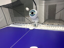庞伯特（pongbot）omni 乒乓球发球机 家用台式智能专业自动乒乓球训练器发球器 omni增强版(遥控+集球网+250球) 实拍图