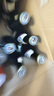 范佳乐（原教士啤酒）德国小麦黑啤酒450ml×12瓶整箱装  实拍图