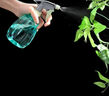 喷壶浇花浇水喷雾器气压式喷水壶家用园艺养花500ml 南瓜喷壶透蓝【1个装】 实拍图