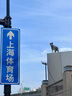 阿道夫头皮去屑洗沐套装 洗发水沐浴露618ml*2 团购送礼礼盒装 实拍图