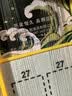 久岩 伊豆鱼钩绑好子线双钩成品盒装野钓湖库拉饵有倒刺鲫鱼鲢鳙鱼钩 45cm伊豆有刺-钩3+1.0钩4+1.2 实拍图