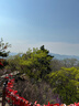 贝阳（beiyang）2.7*3米摄影背景架绿幕抠像拍照龙门背景布支架合金影棚器材专用直播绿幕+背景架服装证件照架子 实拍图