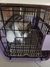 【京东快递】宠物航空箱猫咪狗狗便携猫笼子高铁空运箱托运箱车载 双拼灰蓝色 49*31*31 箱子+垫片 实拍图