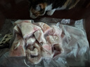 龙大肉食 黑猪猪蹄800g 蓬莱生态黑猪肉 生鲜免切猪蹄猪手烤酱卤猪蹄 实拍图
