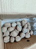 鲜级佳大凉山新鲜湿核桃去青皮嫩核桃老树薄纸皮核桃孕妇专用生核桃新货 3斤【去青皮】送夹子丨品质升级 实拍图