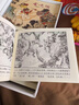 西游记 连环画 红函装20册64开 珍藏老版怀旧四大名著小人书全套中国古典小说儿童故事绘本学生课外读物  黑神话悟空   实拍图