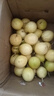 张小壮百香果 黄金果 广西钦蜜9号黄金百香果9号新鲜生鲜白香果水果 精选4.5-5斤约45-55个 实拍图