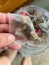 南京同仁堂菊花枸杞决明子茶西洋参熬夜补健脾气养肝护肾清肝明目养生茶60包 实拍图