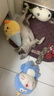 KONOKO宠物沐浴露猫咪狗狗清洁杀菌除螨除臭去味比熊泰迪专用浴液洗澡液 实拍图