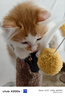 喵仙儿猫爬架大型一体猫窝多层跳台剑麻猫抓柱耐磨猫抓板不掉屑猫玩具 实拍图