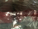 梅克伦堡(Mecklenburger)比尔森啤酒500ml*24听 德国原装进口 实拍图