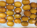 佳沛（zespri）新西兰  阳光金奇异果25-27粒原箱特大果单果约122-146g  猕猴桃 实拍图