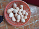 芮瑞 农家散养新鲜现捡鸡蛋笨鸡蛋谷物柴鸡蛋初生蛋 单枚40±5g 30枚 实拍图