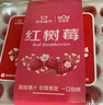 京鲜生 红树莓1盒+黑莓1盒+蓝莓2盒 生鲜水果礼盒 实拍图