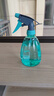 喷壶浇花浇水喷雾器气压式喷水壶家用园艺养花500ml 南瓜喷壶透蓝【1个装】 实拍图