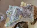 基地直发8年玫瑰老根老桩四季开花月季花苗室内阳台盆栽大花浓香 红玫瑰包对版四季开花【一颗 云南8年老桩 不含盆 实拍图