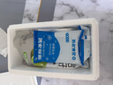 君乐宝简醇原味100g*10袋+简醇青柠100g*10袋 源头直发 包邮 实拍图