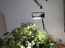 三思植物灯仿太阳全光谱悬挂植物生长灯补光灯-100W大功率可调光 实拍图