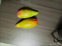 海南辣椒芒果5斤整箱新鲜水果当季树上熟金玉贵妃青煌台牙签芒果 【3斤】约12~25个，超甜 实拍图