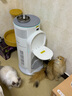 霍尼韦尔（Honeywell）【papi酱同款】宠物猫用空气净化器吸猫毛除甲醛过敏源杀菌消毒霍哈宝H-Cat Hub家电国家补贴 实拍图