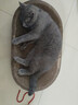 【京东物流】猫抓板磨爪猫窝一体耐磨不掉屑超大号猫玩具猫咪用品 椭圆大号+猫薄荷 实拍图