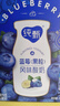 蒙牛（MENGNIU）纯甄蓝莓果粒风味酸奶200g×10盒 礼盒装(部分地区4月产) 实拍图