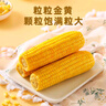 金沃瑞丰有机 大黄糯玉米棒260g*8支＞4.5斤 新鲜甜粘黏 非转基因早餐 实拍图
