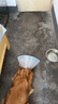 憨憨乐园伊丽莎白圈耻辱圈狗狗猫项圈猫咪头套宠物脖套大型犬防咬圈用品1 实拍图
