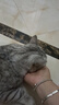 普安特宠物猫咪洗耳液耳螨狗狗滴耳液猫耳朵清洁耳垢臭痒漂护理液尔加分 实拍图