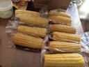京鲜生东北白糯玉米250g*10棒 新鲜甜糯玉米棒真空包装粘玉米 源头直发 实拍图