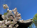 道达尔（Total）防冻液/冷却液/防沸液汽车发动机水箱通用 -35度 4kg装绿色 实拍图