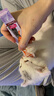 麦富迪 猫条 猫零食成幼猫通用猫咪零食营养猫湿粮 【功能款】鲜鸡肉益生元14g*30 实拍图