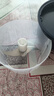 绞肉机小型打蒜器家用绞蒜切蒜器多功能辅食料理机电动蒜泥神器蒜蓉机自动切菜机压蒜器 蓝色-升级大电机 0.26L 实拍图